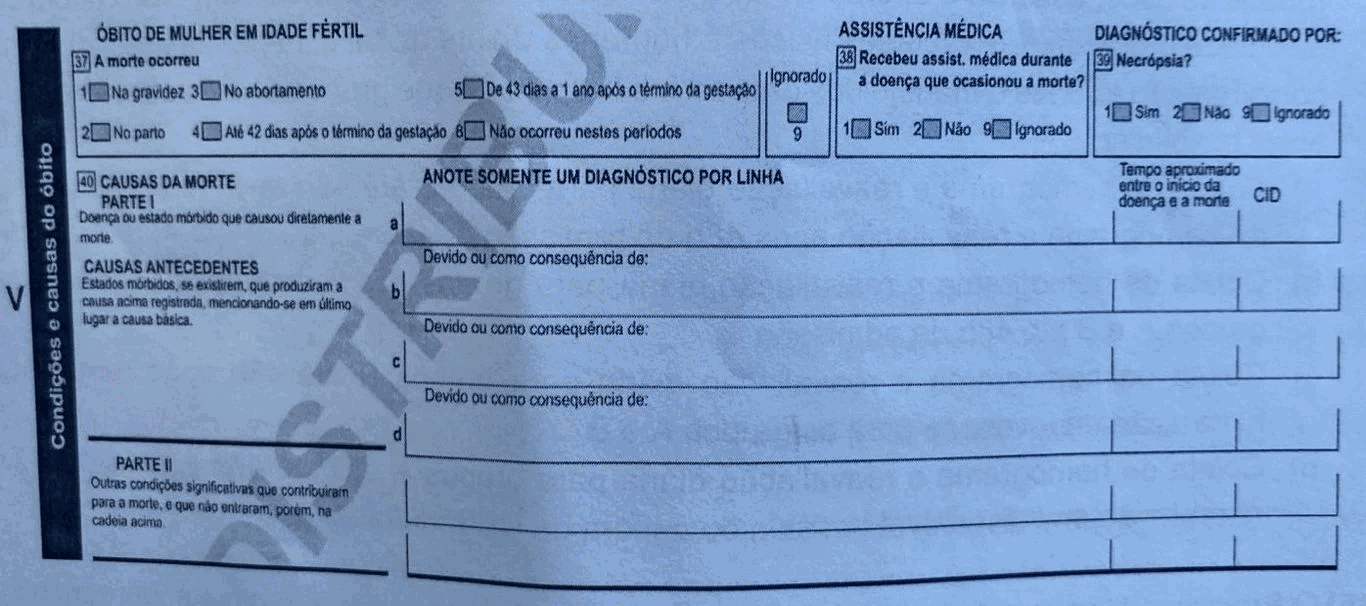 Imagem da Questão 12