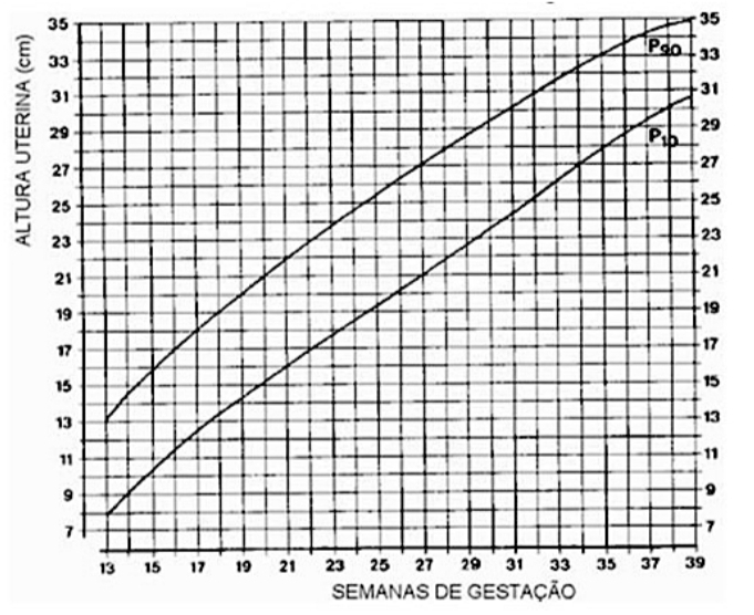 Figura 2 - Gráfico da altura uterina