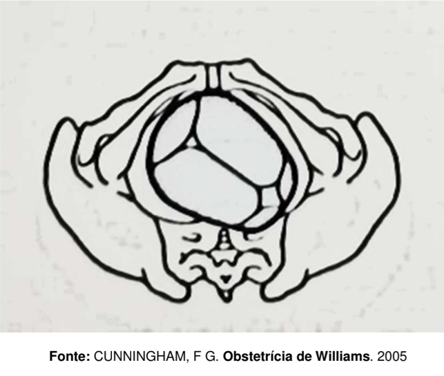 Imagem da Questão 58