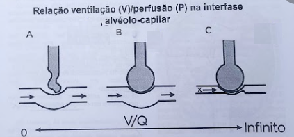 Imagem da Questão 28