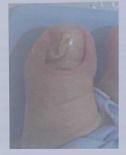 Imagem da Questão 33