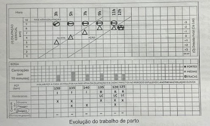 Imagem da Questão 47