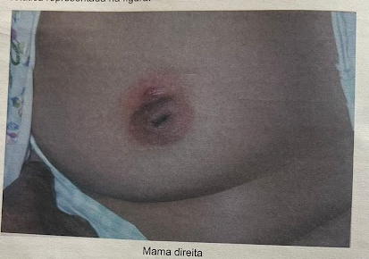 Imagem da Questão 53