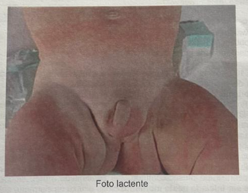Imagem da Questão 8