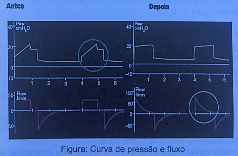 Imagem da Questão 10