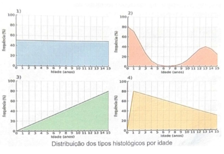 Imagem da Questão 60